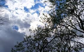 Prognoza meteo 19 iunie -17 iulie. Nu scăpăm de ploi/Cum vor fi temperaturile în următoarele patru săptămâni