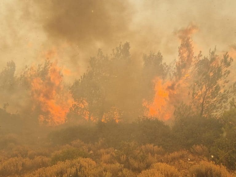 Pompierii români au ajuns pe insula Rodos, grav afectată de incendii – VIDEO/Mii de evacuări în Corfu