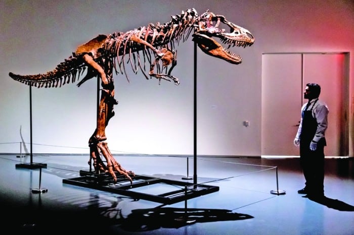 T Rex 2 - Ziarul National