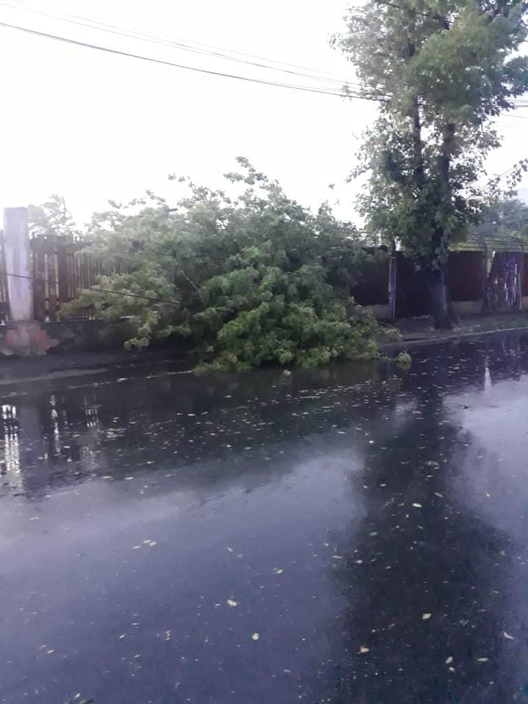 Furtunile au făcut prăpăd în Capitală și în mai multe zone din țară. Copaci căzuți, mașini avariate și străzi inundate – FOTO/VIDEO