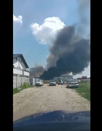Incendiu puternic de vegetație, în apropierea Capitalei. S-a emis RO-ALERT – VIDEO