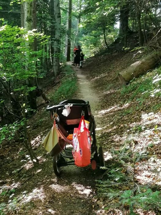 O femeie s-a aventurat, cu doi copii și un cărucior, pe un traseu din Postăvaru/Cine a apelat salvamontiștii: „Și-au făcut griji”