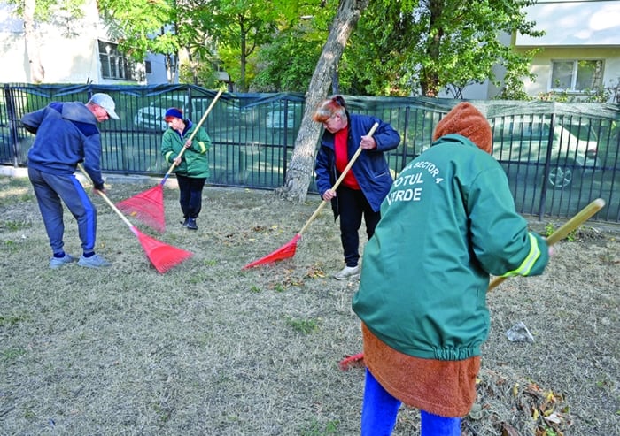 Totul Verde pregătește terenul pentru începerea marilor șantiere ce vizează modernizarea școlilor din sectorul 4