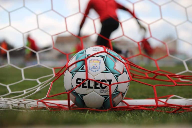 LIGA 1, ETAPA 17. Rezultate și clasament