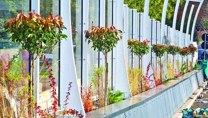 Se plantează arbori la Pasajul Europa Unită, care devine, astfel, un bulevard verde