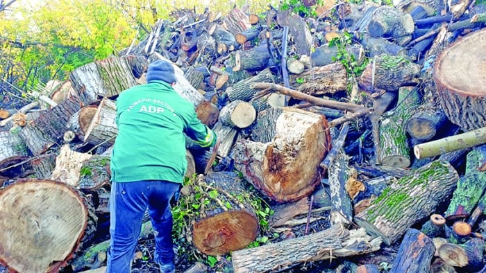 Continuă campania de acordare a ajutoarelor de încălzire, în Sectorul 4