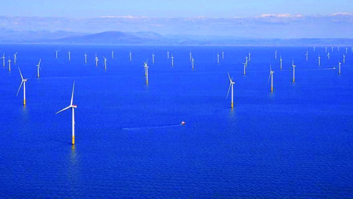 Decarbonizarea distruge planeta. Efecte grave ale eolienelor asupra mediului acvatic