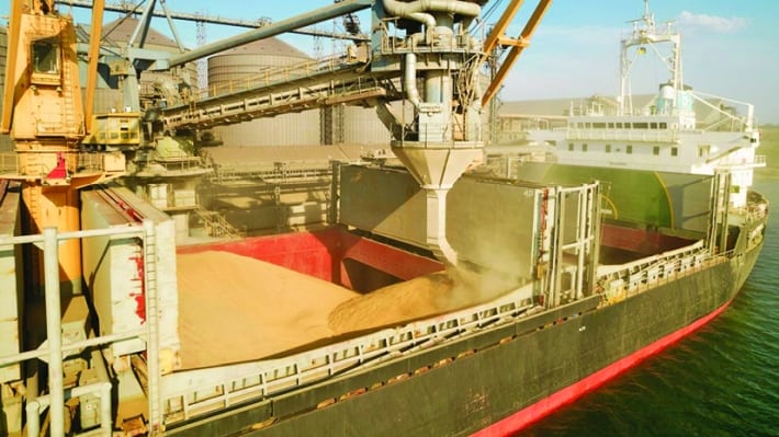 Prăbușire a prețurilor pe piața cerealelor. Fermierii sunt disperați