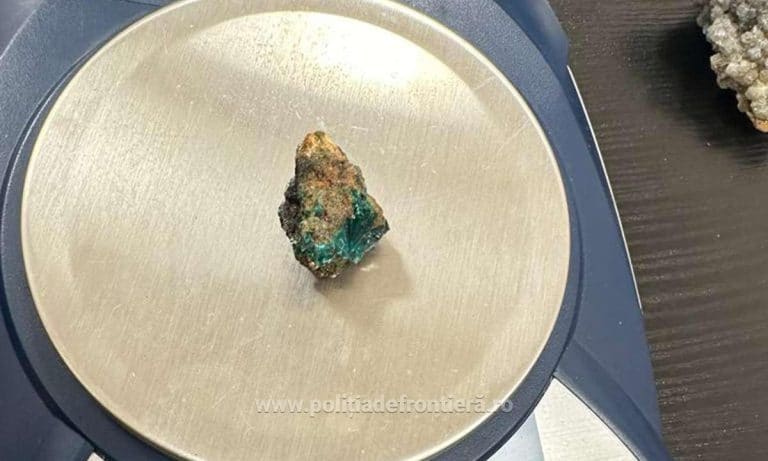 Descoperire mai puțin obișnuită. Ce s-a găsit în bagajul unei femei, pe aeroportul din Cluj/Ar fi vrut să le ducă în Marea Britanie – FOTO