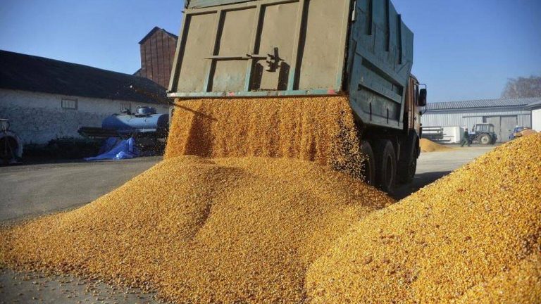 UE a decis: se va continua importul agricol din Ucraina, fără taxe vamale!