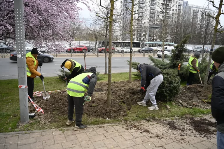 S-a dat startul unei campanii de înverzire a Sectorului 4!