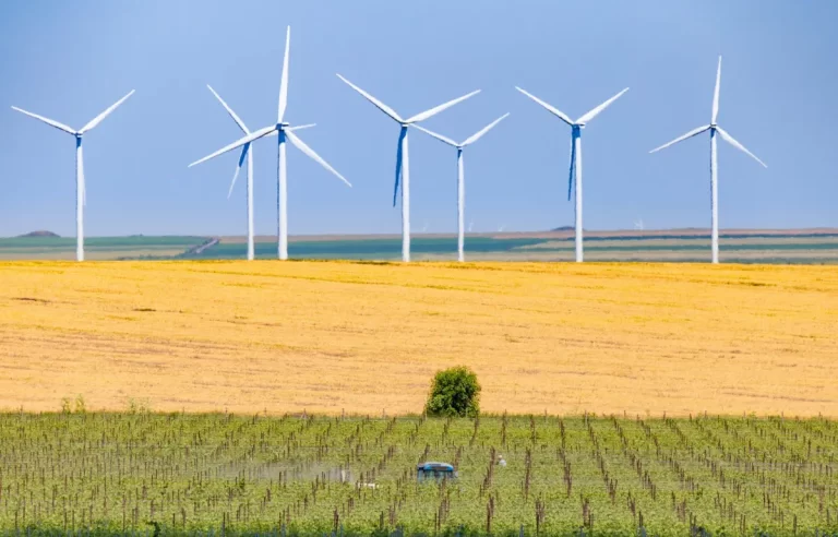 Gata și cu eolienele din Sudul țării. Afectează ariile naturale protejate