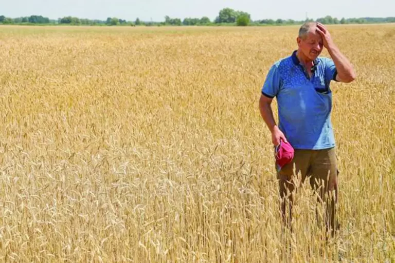 Undă verde de la stăpânire. Ucraina ne îngroapă agricultura