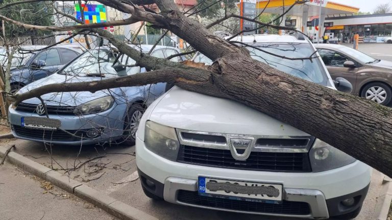 Pagube în Capitală, din cauza vântului puternic. Copaci căzuți peste mașini – FOTO/VIDEO