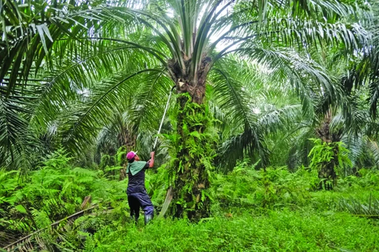 UE impune colonialismul ecologic