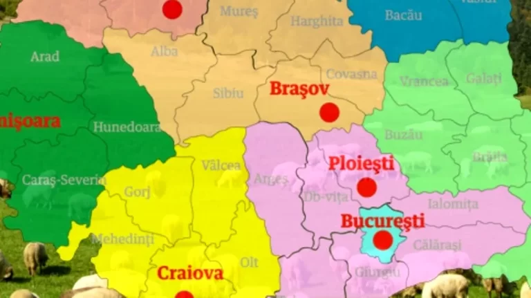 Doi vajnici moldoveni pur-sânge tânjesc după regionalizarea României