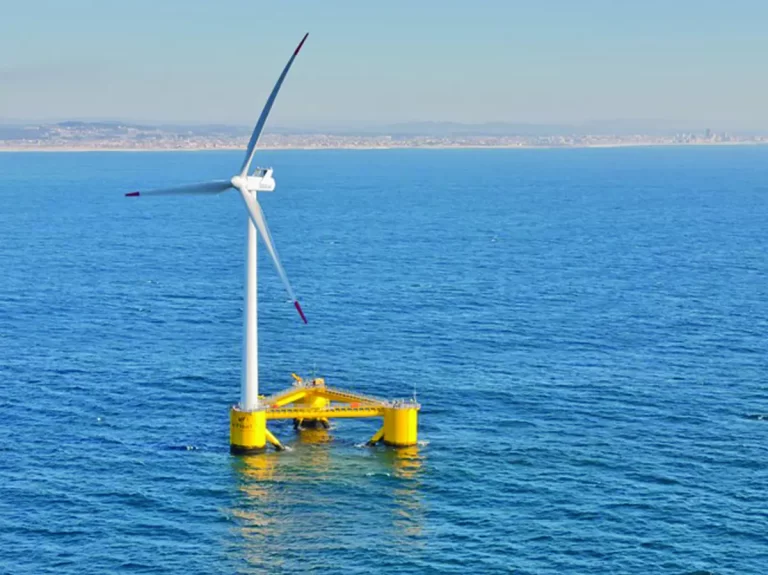 Au votat Legea offshore pentru eoliene și acum cer protecția ecosistemului marin