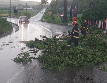 4 - Ziarul National