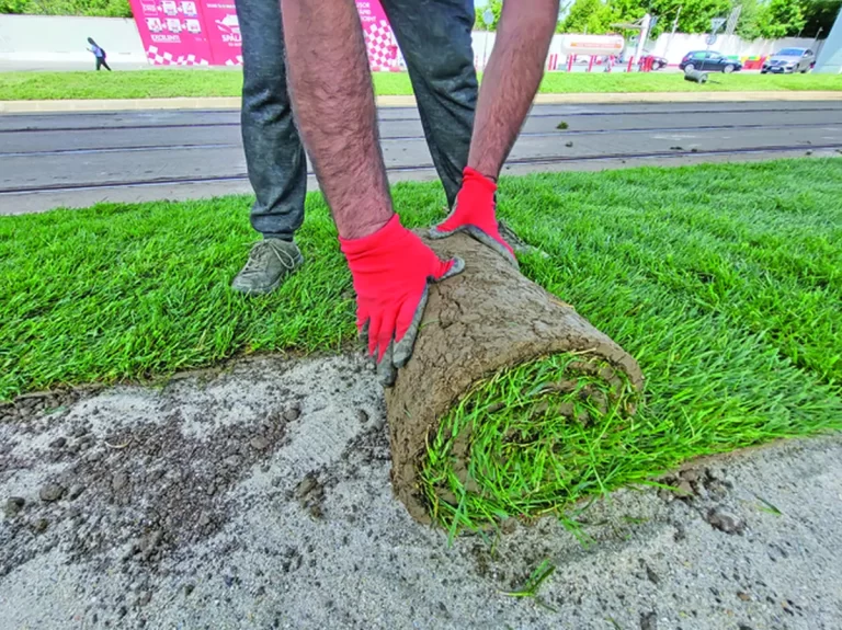Zona de sub pasajul rutier de la Mihai Bravu a fost îmbrăcată cu rulouri de gazon