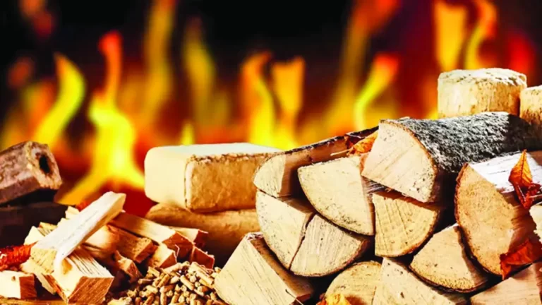 Ministerul Energiei anunță apocalipsa. Cresc prețurile la energie termică și lemne de foc