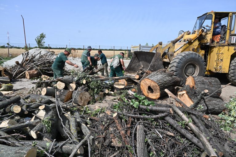 Lemne de foc pentru oamenii nevoiași din Sectorul 4, după furtuna de acum o lună
