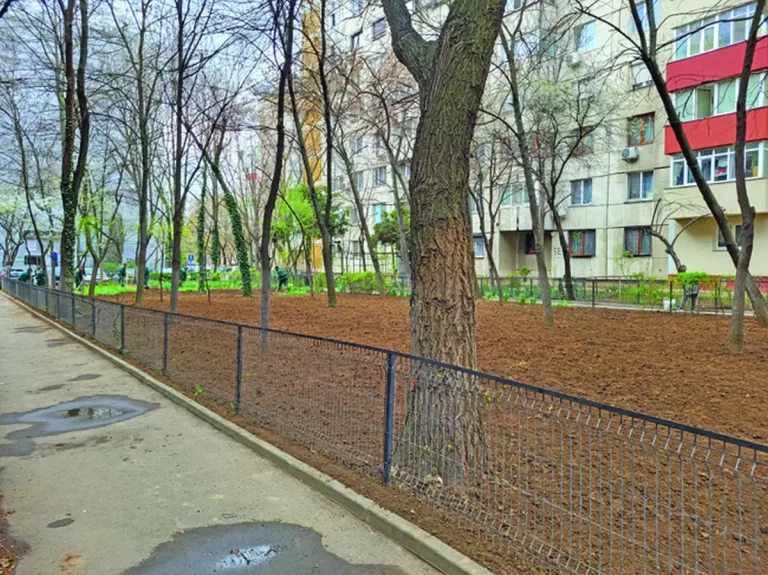 Transformare incredibilă a unor grădini de blocuri de pe șoseaua Olteniței
