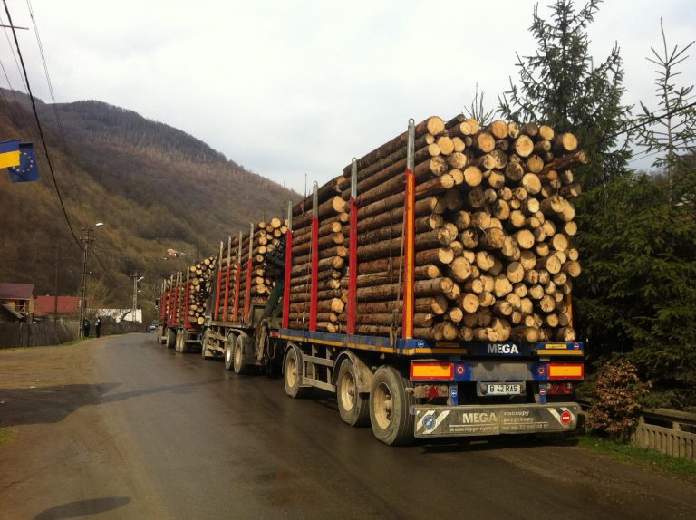 Sectorul forestier avertizează. Politica verde a UE ne închide toată industria