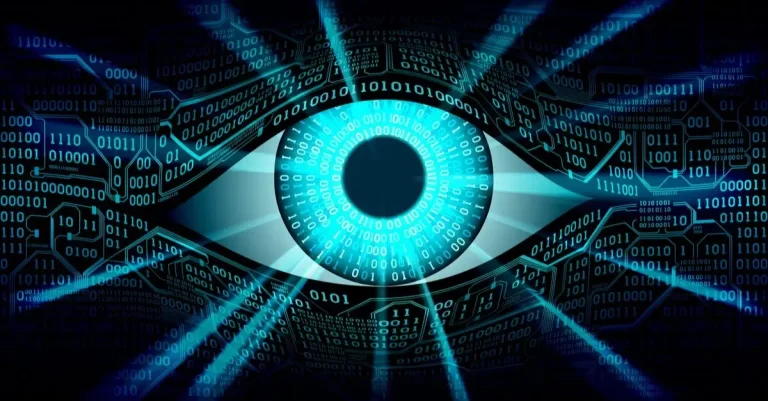 Lupta împotriva criminalității cibernetice sau supraveghere globală?