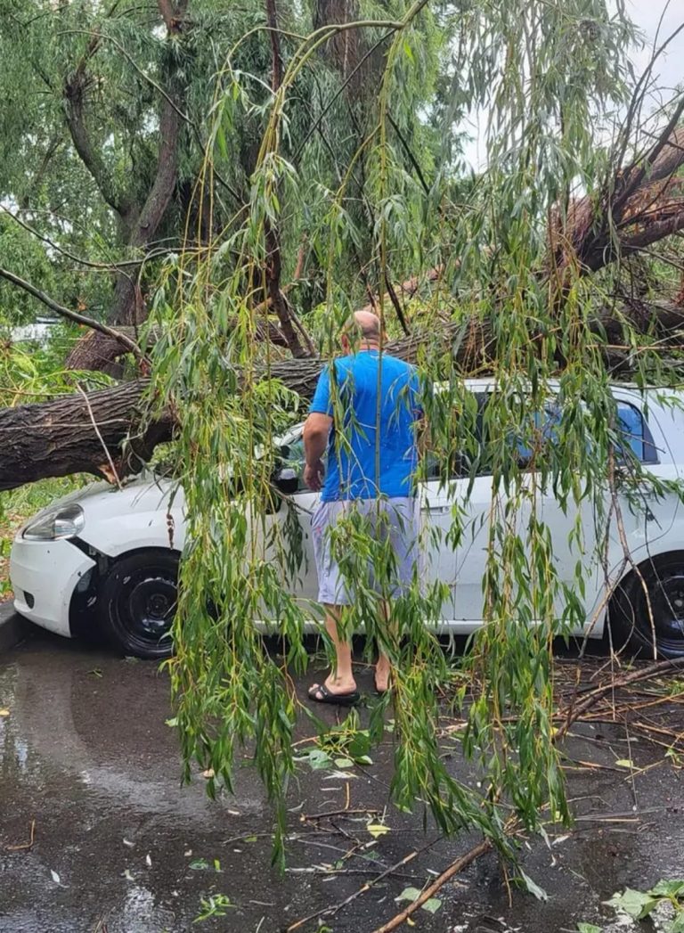 Furtună în Ploiești. Mai mulți copaci, doborâți de vântul puternic – FOTO/VIDEO