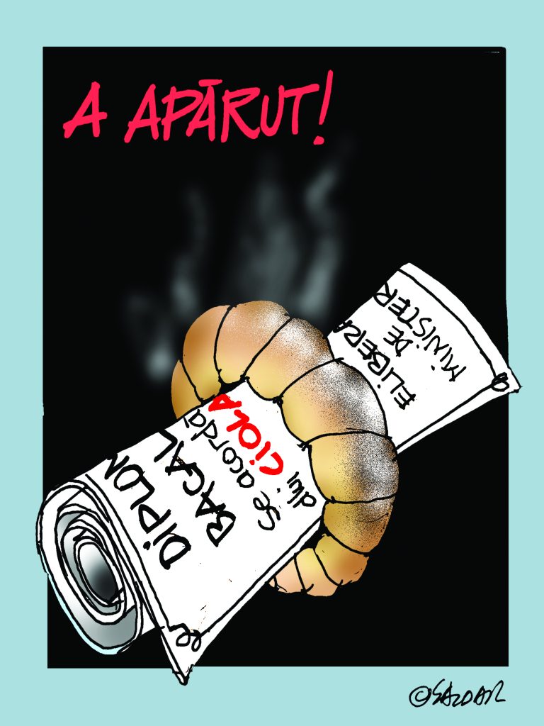 Caricatura Zilei