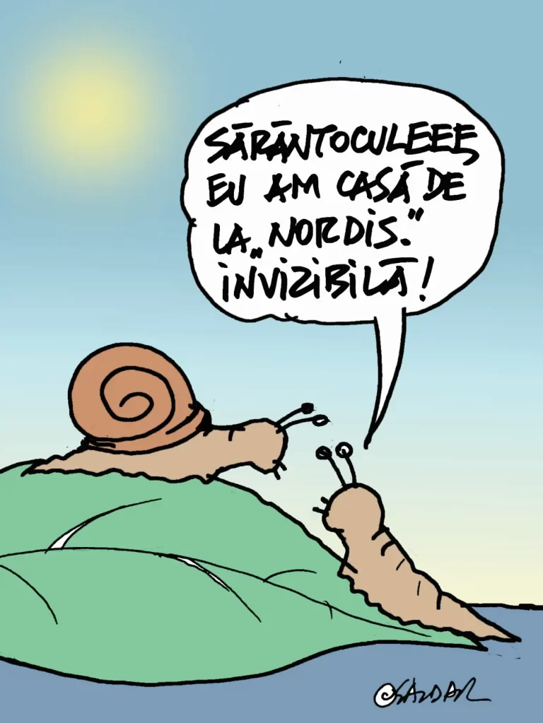 Caricatura Zilei