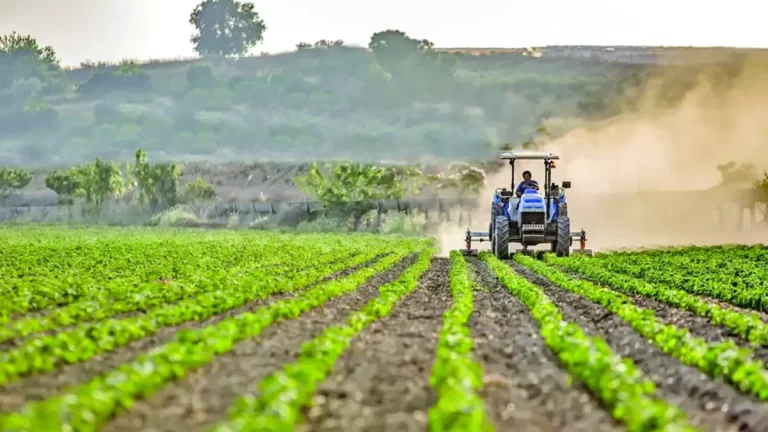 Agricultorii din UE se opun, pe față, Comisiei Europene. Tranziția verde, o utopie