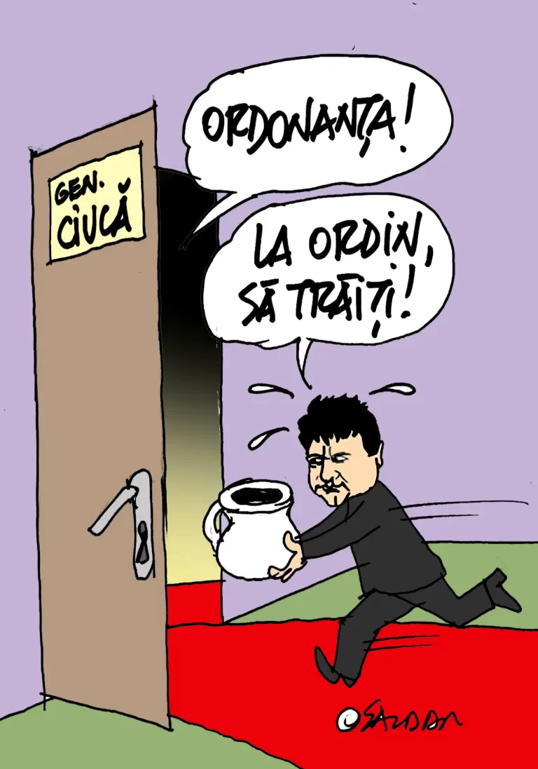 Caricatura Zilei
