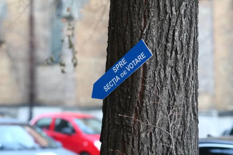 Profitorii campaniei electorale
