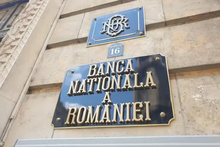 BNR comandă un recensământ care să prezinte exact avuția și veniturile populației din România/Ce presupune cercetarea statistică