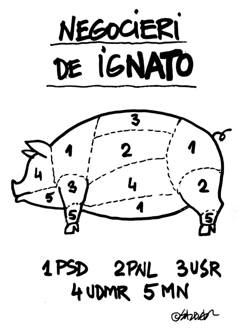 Caricatura Zilei