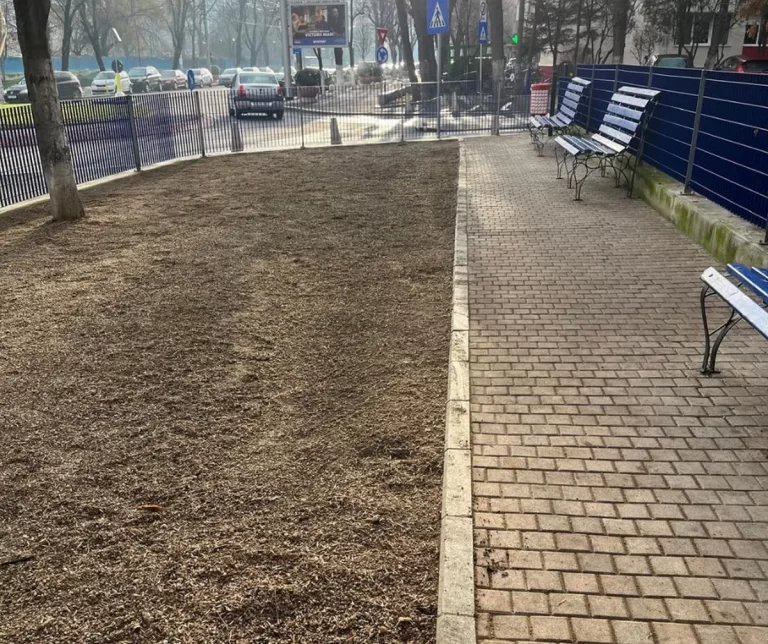 Locuri pentru animalele de companie, amenajate în Sectorul 4