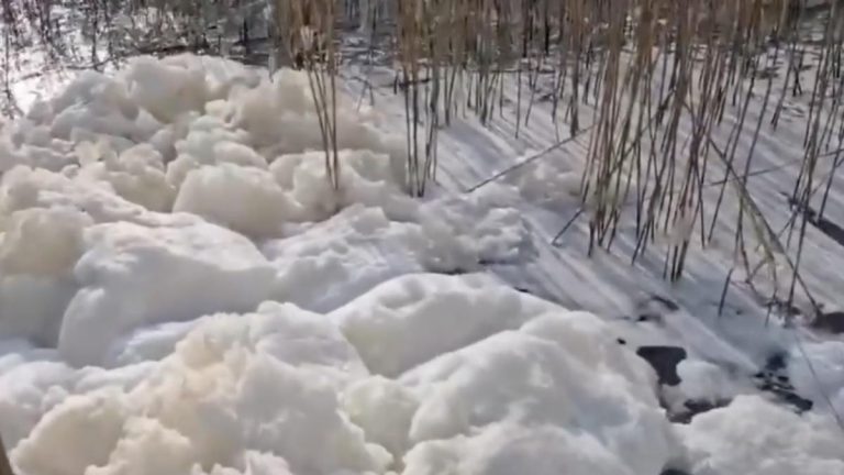 Imagini incredibile! Fenomen rar pe litoralul românesc. Lacul acoperit de un strat de spumă. Explicațiile unui specialist – VIDEO