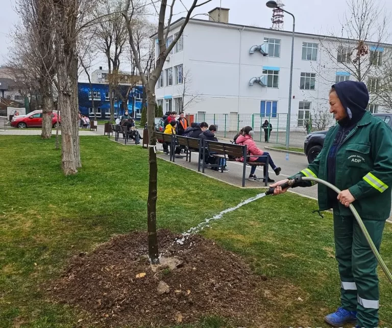 Numărul copacilor din Sectorul 4 se triplează!