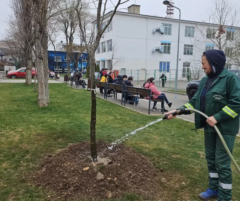 Miza pe spațiile verzi în Sectorul 4