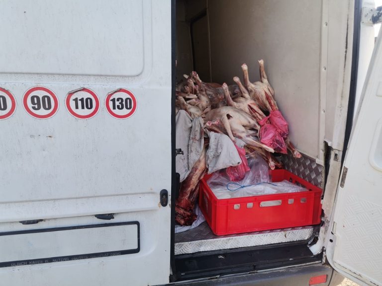 FOTO. Autovehicul cu peste o tonă de carne de miel, fără acte, oprit la intrarea în Bucureşti/Anunțul ANSVSA