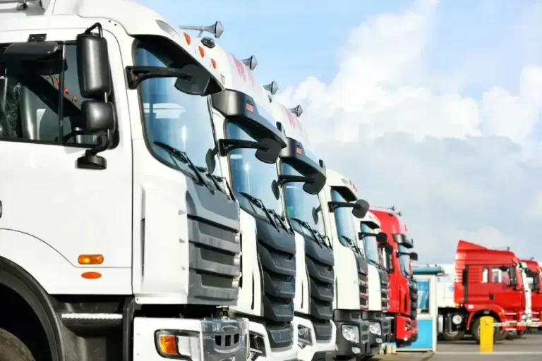 Softurile Ministerului Finanțelor dau erori grave. Transportatorii cer amânarea amenzilor
