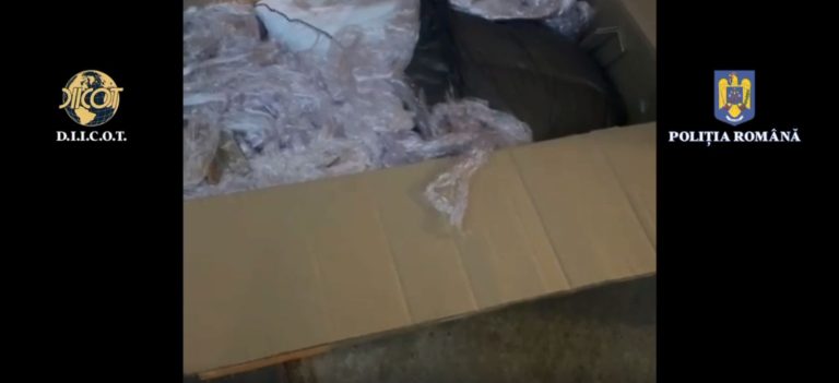 VIDEO. Doi bărbaţi care au introdus în ţară 17 kg de canabis destinat vânzării pe litoral, reţinuţi/Ce a anunțat DIICOT