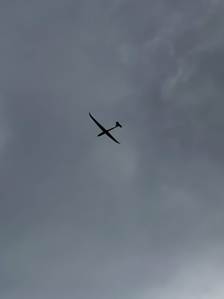 Un avion de la Aeroclubul Caransebeș a aterizat forțat. Cine se afla la bord/Decizia salvatoare a pilotului