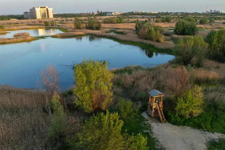 Răgaz de liniște și spectacol de primăvară în Parcul Natural Văcărești 🦆