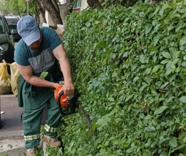 Un sector verde înseamnă o comunitate sănătoasă