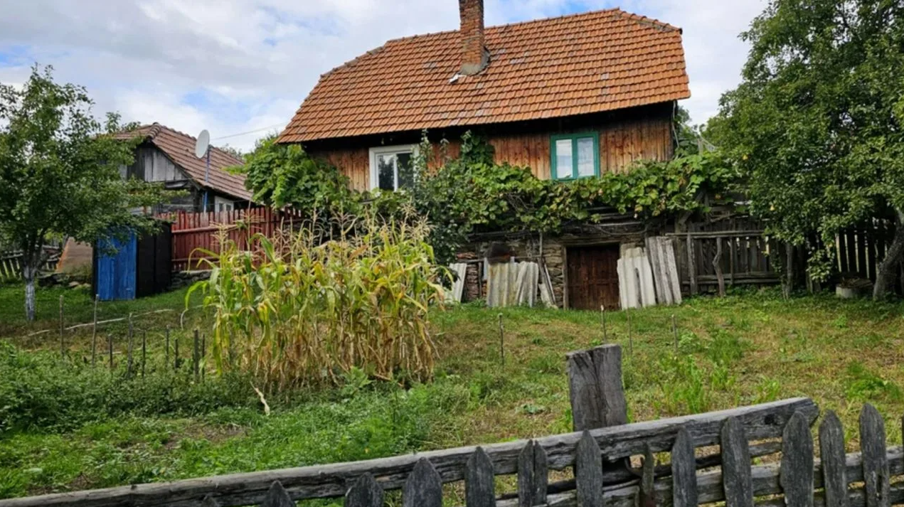 casa-de-la-tara-perfecta-pentru-munca-remote - Ziarul National muncă remote