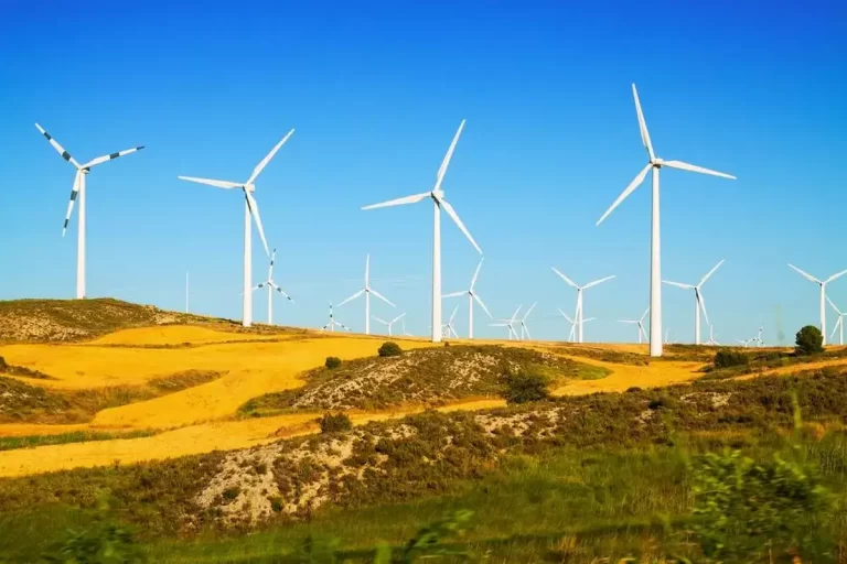 Analiză zdrobitoare. Energia eoliană, de 7 ori mai scumpă decât cea pe gaze