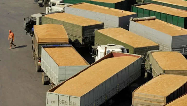 Fermierii din UE, sufocați. Importuri agricole de peste 13 miliarde de euro din Ucraina