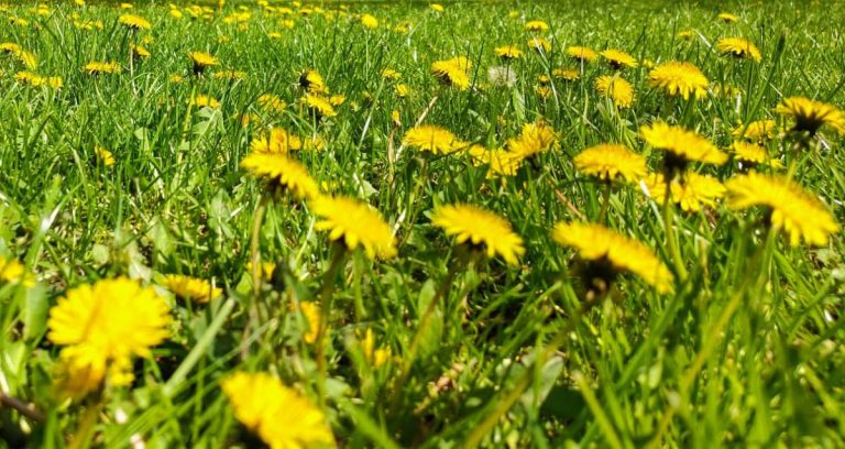 Când scăpăm de frig. ANM, prognoza meteo pentru următoarele patru săptămâni
